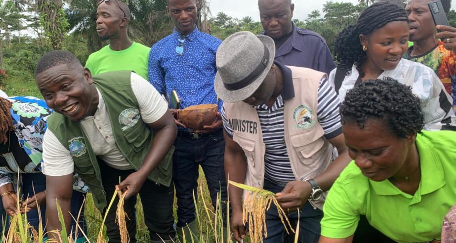 Government Launches 2025 National Rice Harvesting Season in Sehyikepa