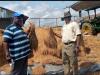 Acting Minister and Deputy Minister for Planning and Development Prof. Robert Fagans(R) with the farmer(L)