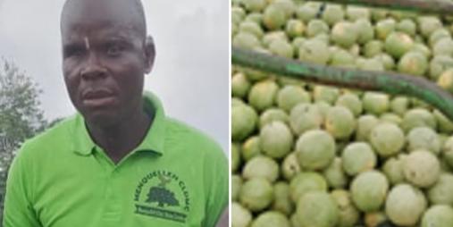 Joseph Y. Kollie / Farmer