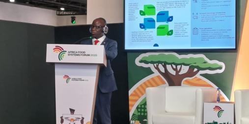 Liberia Unveils $900 Million Agriculture Program at Africa Food Systems Forum 2025
