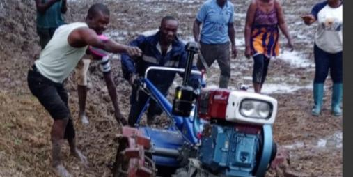 Ministry of Agriculture’s SADFONS Initiative Boosts Smallholder Farmers in Rural Liberia